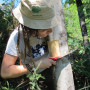 ADEGA convoca el voluntariat a una nova jornada d’eliminació d’espècies invasores al riu Tea